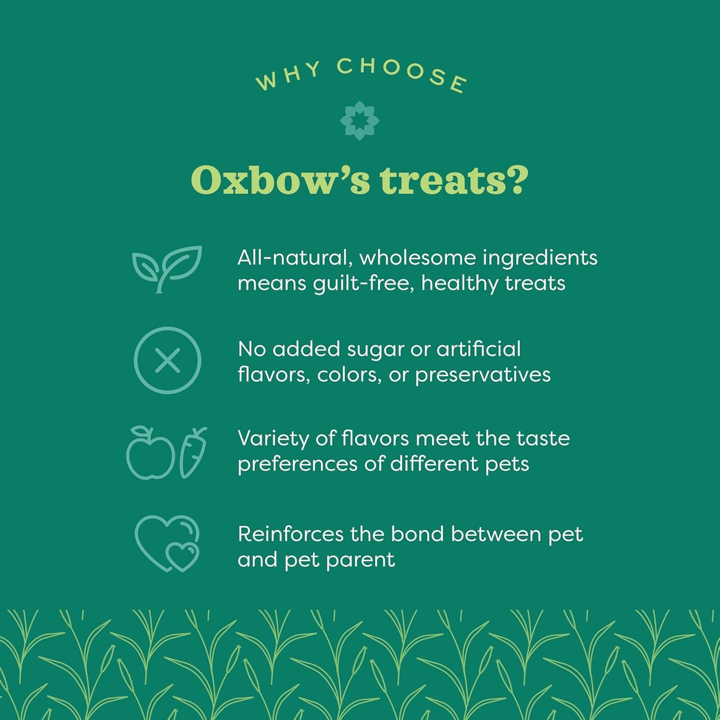 Organic Barley Biscuits, Rabbit & Guinea Pig Treats, Organic Hamster & Bunny Treats with Barley, Apple & Carrot, Made in USA, Small Pet Supplies, 2.65 Oz Bag