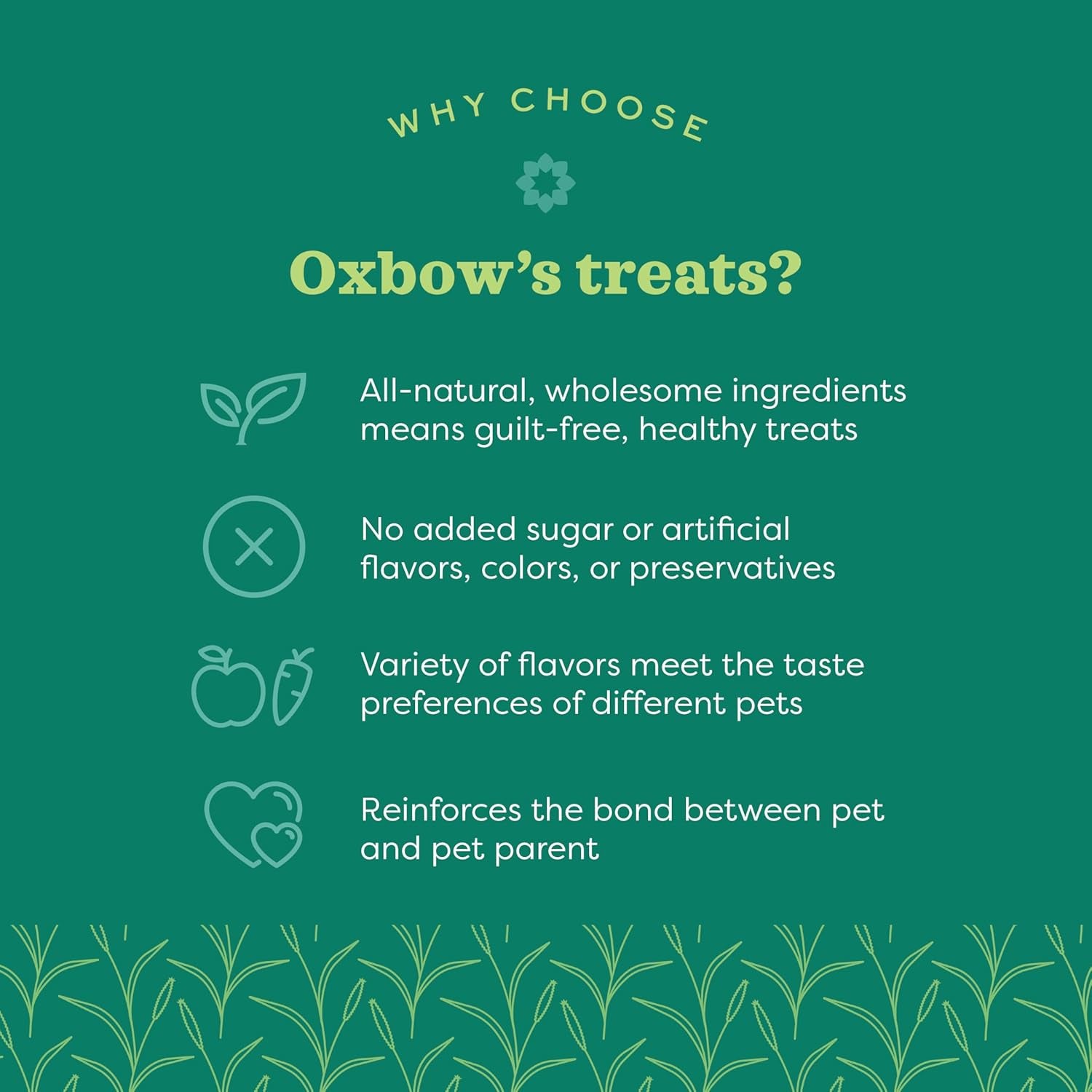 Organic Barley Biscuits, Rabbit & Guinea Pig Treats, Organic Hamster & Bunny Treats with Barley, Apple & Carrot, Made in USA, Small Pet Supplies, 2.65 Oz Bag